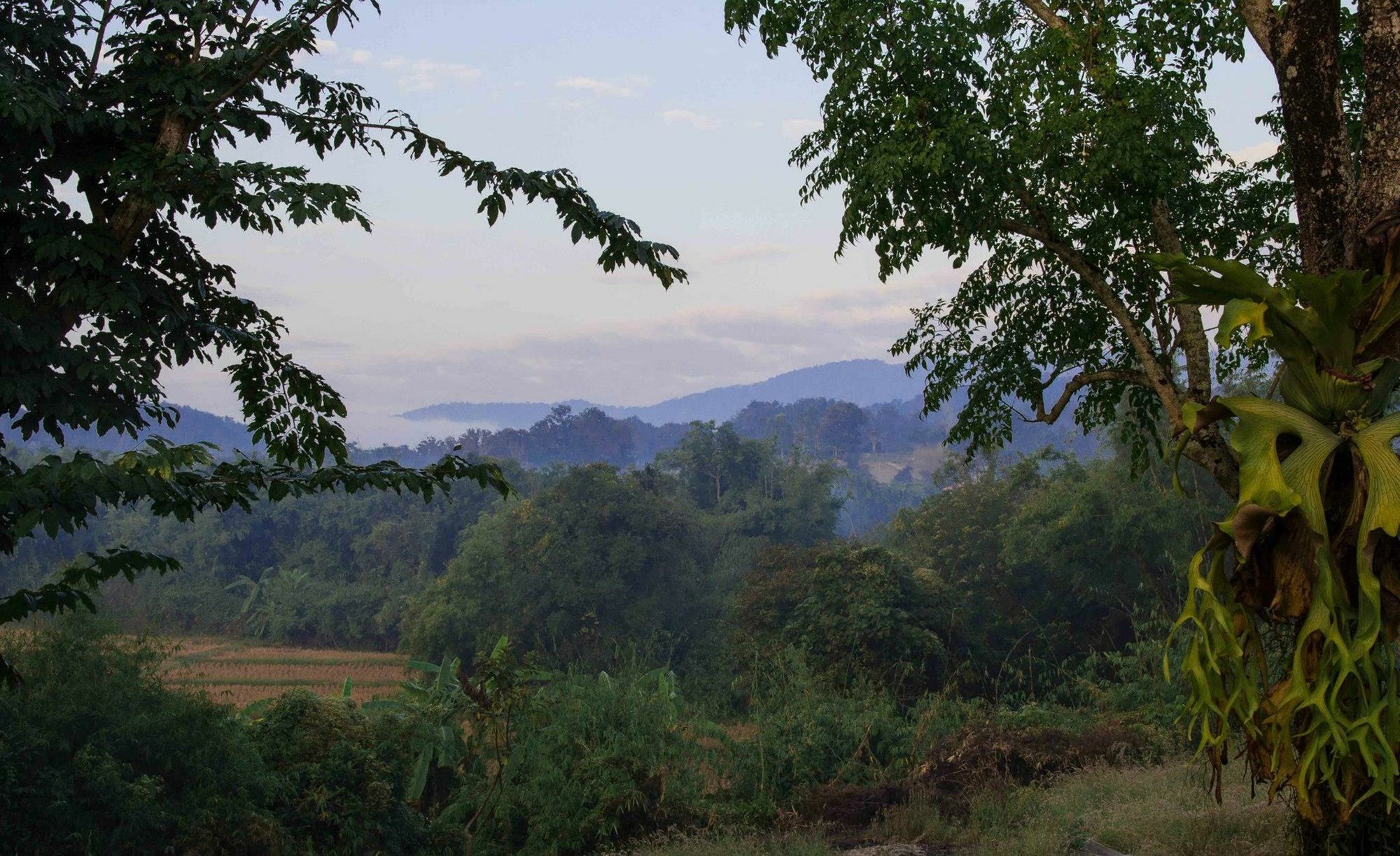 Bambuh Boutique Chiang Rai